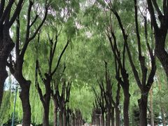 -哈尔滨文化公园