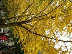 -辽宁大学(崇山校区)