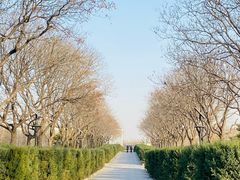 -中国人民抗日战争纪念雕塑园