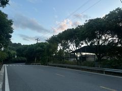 -铁山坪森林公园