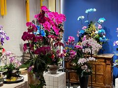 -弗劳尔花艺坊(龙涛店)