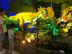 -恐龙探索乐园(磁器口店)