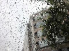 -知味观(湖滨总店)