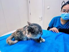 -美联众合动物医院·24h京西诊疗中心