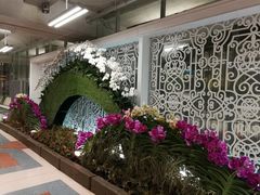 -曼谷素万那普国际机场