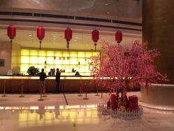 -上海浦东华美达大酒店·宴会厅