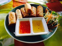 -Jungle Kitchen