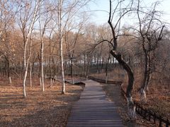 -长春世界雕塑园冰雪艺术天地