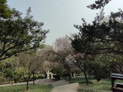 -南山植物园