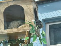 -青藏高原野生动物园