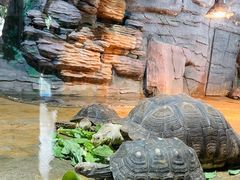 -石家庄市动物园