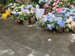 -懒人盐府人家(安贞店)