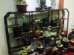 -双季花艺园艺市场(浦东店)