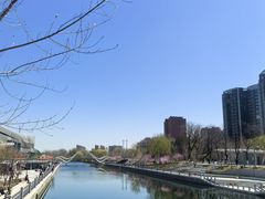-坝河休闲公园