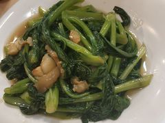 广东菜心-多多旺港式茶餐厅(新区店)