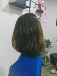-藤野造型