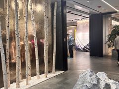 -ARC'TERYX始祖鸟(北京王府中环店)