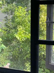 -安琪朵朵独栋花园月子中心