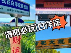 -白洋淀风景区