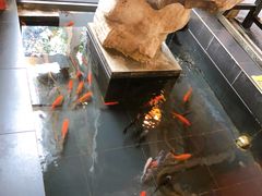 -旅马餐厅(茅家埠店)