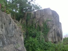 -金鸡山公园