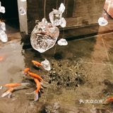 奉天小馆-获奖无数的辽菜连锁名店