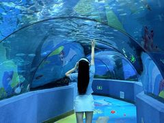 -合肥海洋世界