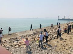 -东疆建设开发纪念公园