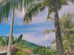 -亚龙湾国际玫瑰谷