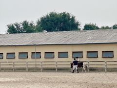 -北京群众马术培训基地