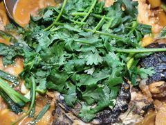-九道菜有鸡鱼头(石鼓路店)