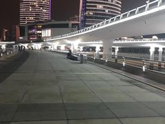 -演武大桥观景平台