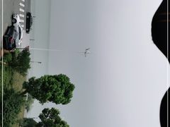 -美味之家·湖景农家乐(太湖东山店)