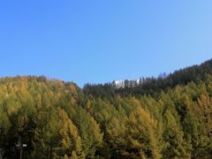 -塞罕坝国家级自然保护区