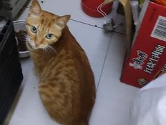 -玉华饮食店(茅台路店)