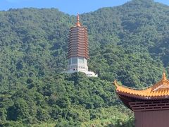 -深圳仙湖植物园