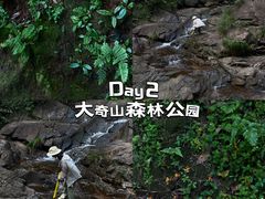 -大奇山国家森林公园