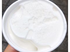 -洪馨椰子