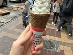 -富豪雪糕车流动点(尖沙咀店)