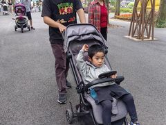 -上海和平眼科医院