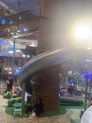 -卡通尼·Safari非洲探索乐园·生日会(金桥国际商业广场店)