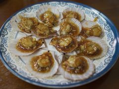 蚝油扇贝-公寓家常菜馆(海军博物馆店)