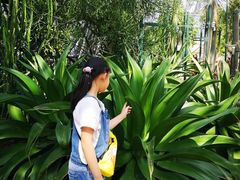 -北京植物园-展览温室