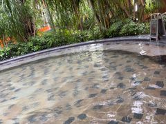 -碧水湾温泉