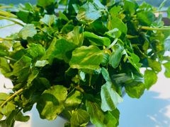 -东椰·海南椰子鸡火锅(朝阳门店)