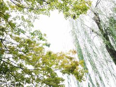 -黄村公园