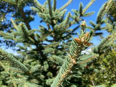 -丽江泸沽湖景区