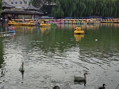 -团结湖公园