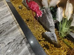 -华夏良子·足道SPA艾灸(胜利路店)