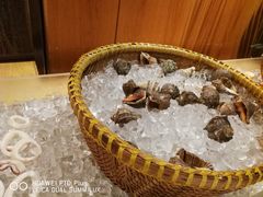 -龙之梦万丽酒店青餐厅